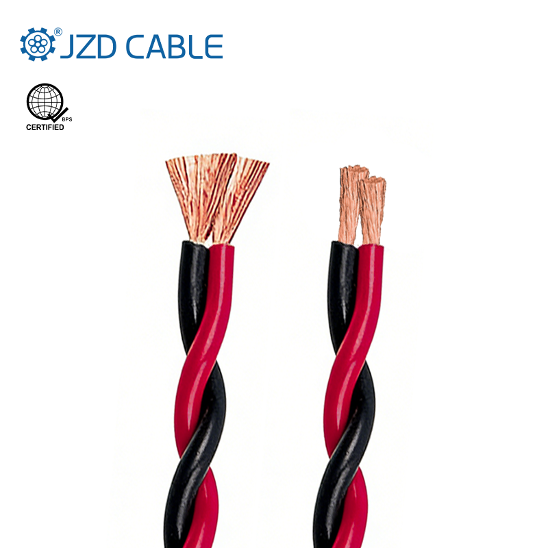 为何菲律宾项目青睐柔性耐用的双绞线？